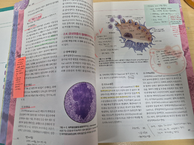 핵심병리학 책 팝니다